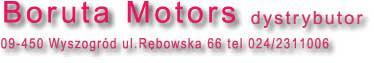 Boruta Motors 